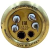Тен для бойлера Thermex 2000 Вт (мідний, латунний фланець Ø63 мм, під анод M4) Thermowatt